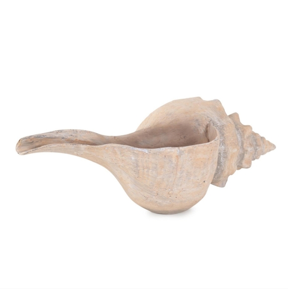 Horse Conch Seashell Decor Bowl - Picture 3 of 10